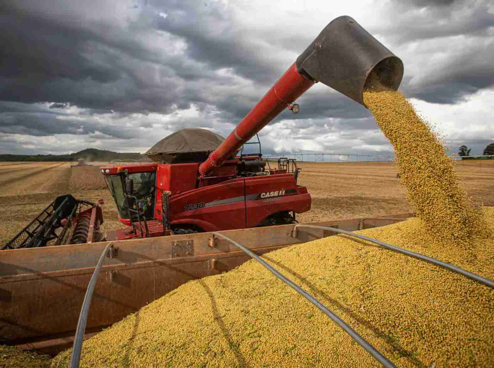 Mercado da soja segue sequência de altas e baixas aguardando safra no Brasil; hoje começou em baixa