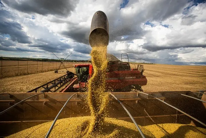 Mercado da soja realiza lucros em Chicago nesta 4ª feira, mas segue focado no clima do Corn Belt