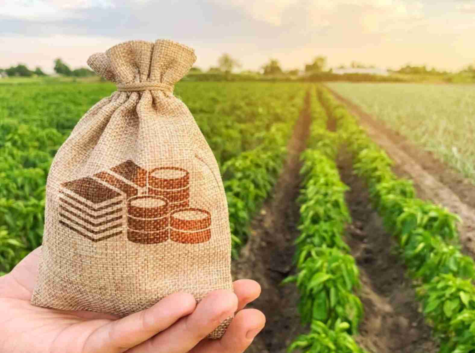 Proeminência do agronegócio brasileiro: Pilar da economia em 2023