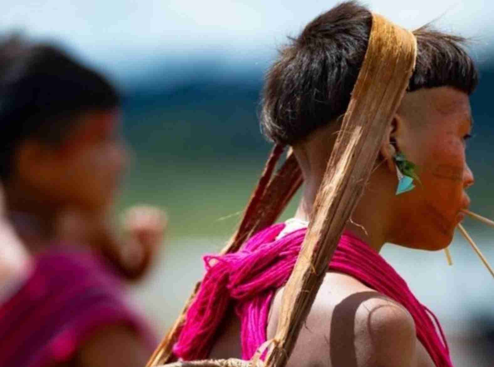Crise persistente: Terra indígena Yanomami e a ineficácia do governo Lula