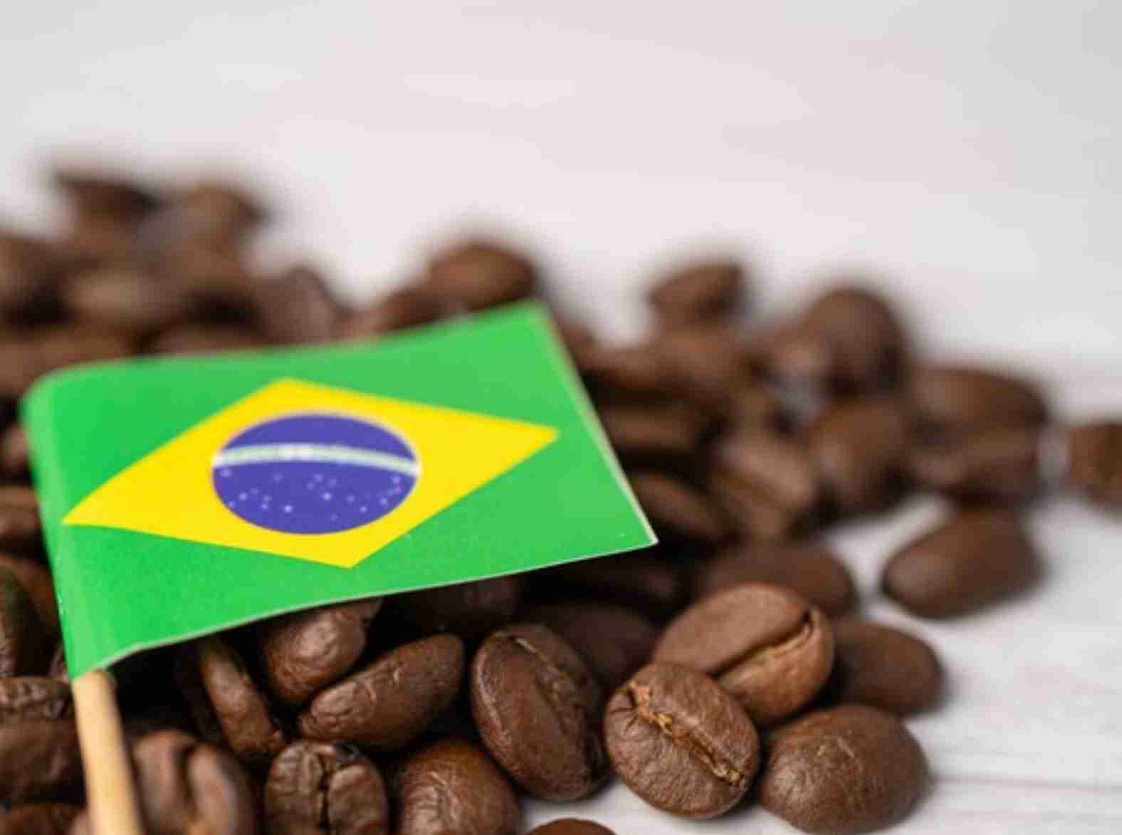 Supremacia brasileira no mercado global de café: Um olhar sobre as exportações de 2023
