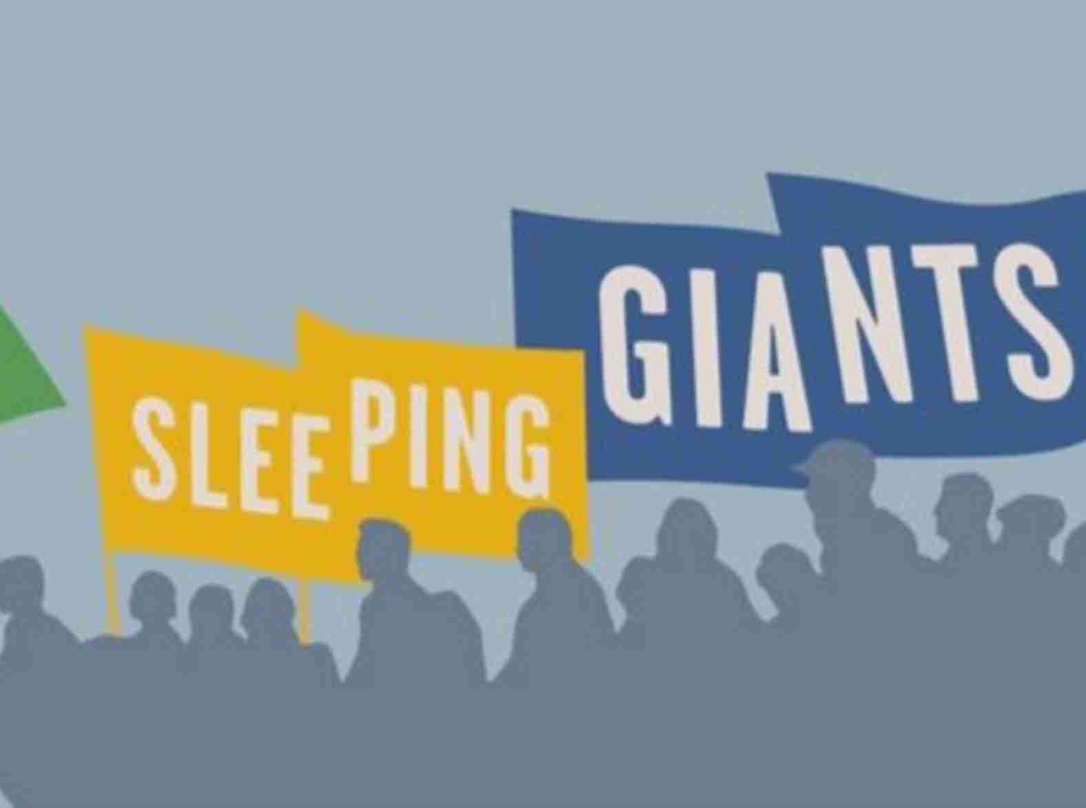 Sleeping Giants Brasil recebeu mais de R$ 2,4 milhões de ONGs