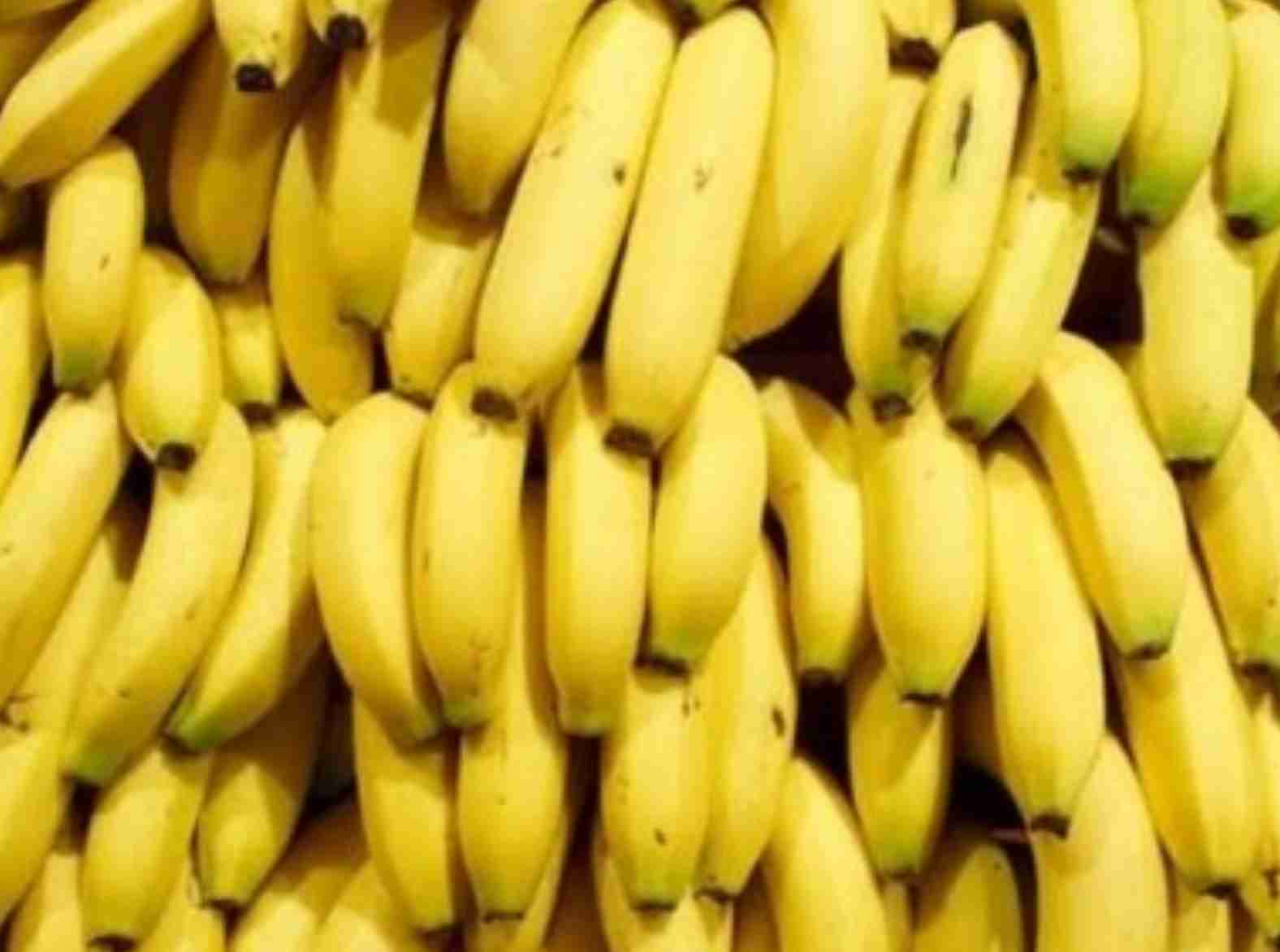 Banana: Após sucessivas altas, preços da prata anã recuam no norte de MG