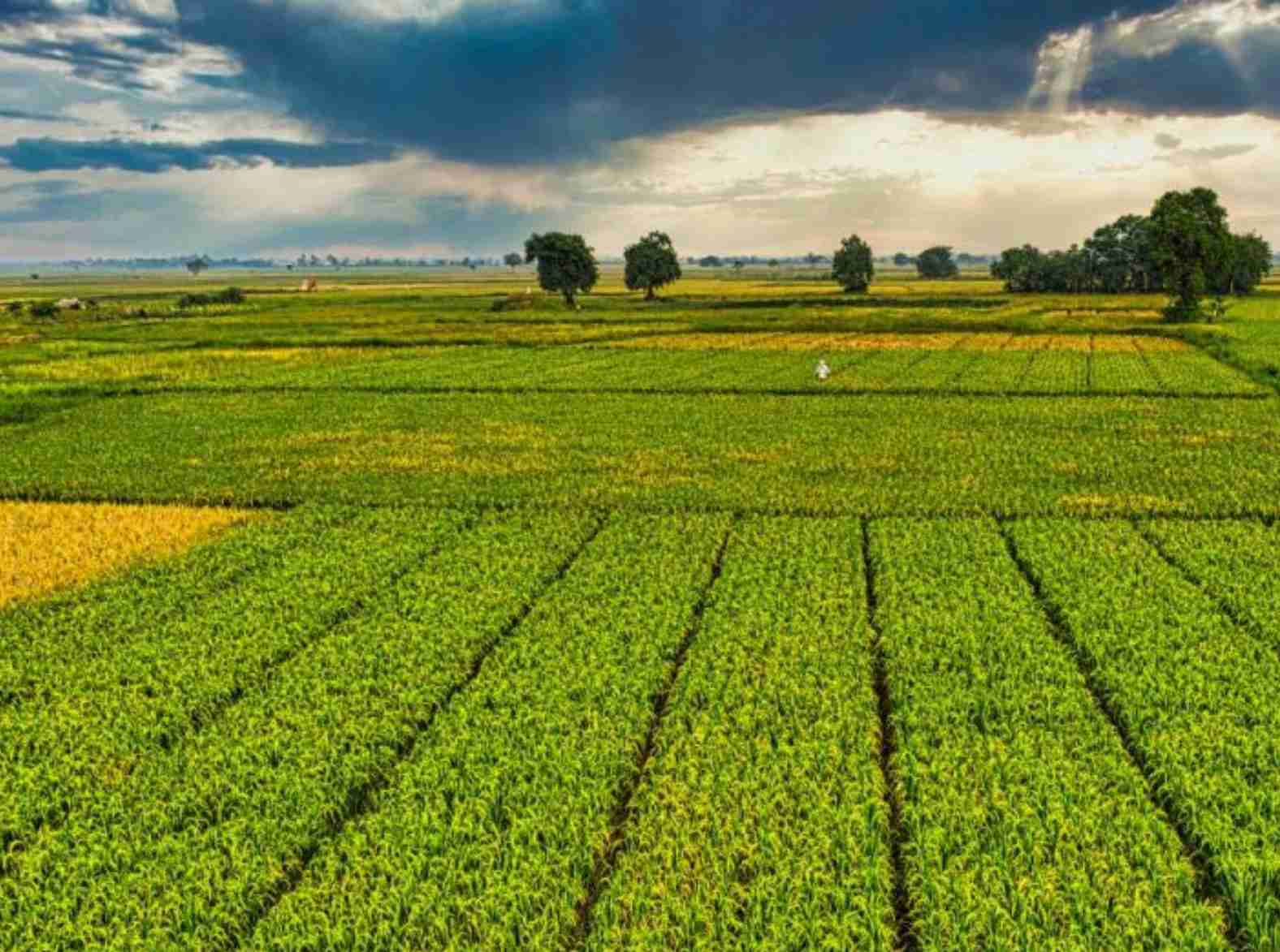 Plataforma AgroBrasil+Sustentável é apresentada a ministérios e instituições ligadas ao setor produtivo