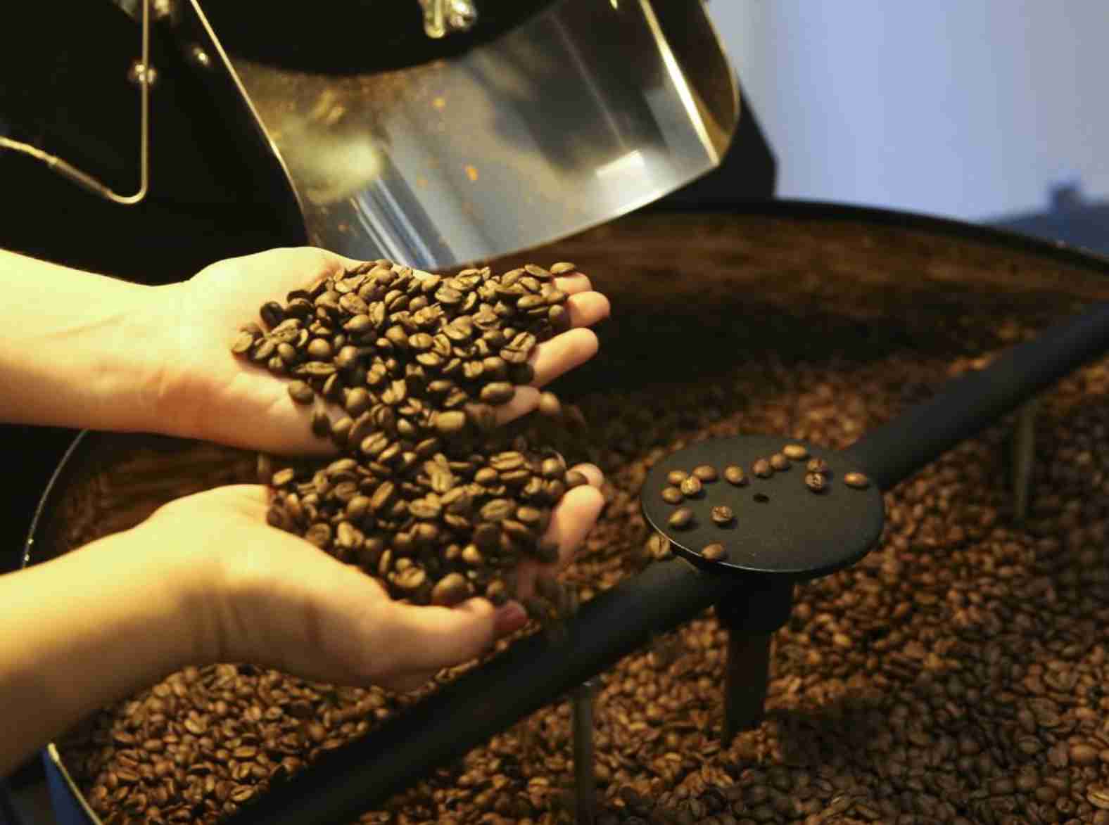 Iniciativa legislativa impulsiona produção artesanal de café