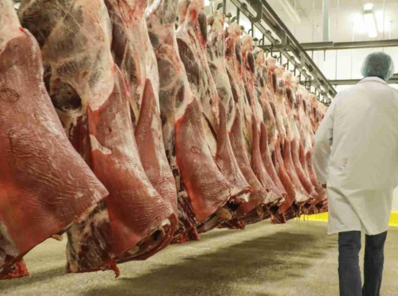 Brasil fortalece sua posição como líder mundial na exportação de carnes
