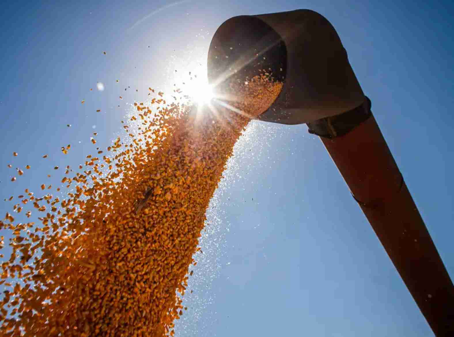 Exportações de grãos pelo arco amazônico batem recorde em 2023