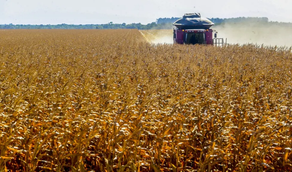 Governo inicia trabalho para avaliar crise no agronegócio