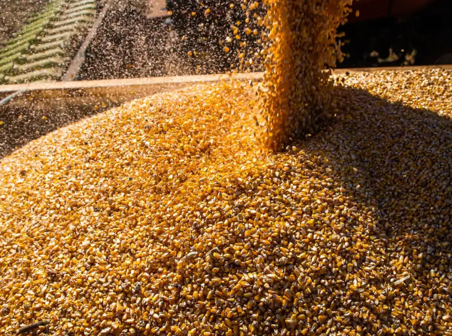 Aprosoja alerta produtores de soja e milho diante de altos custos de produção