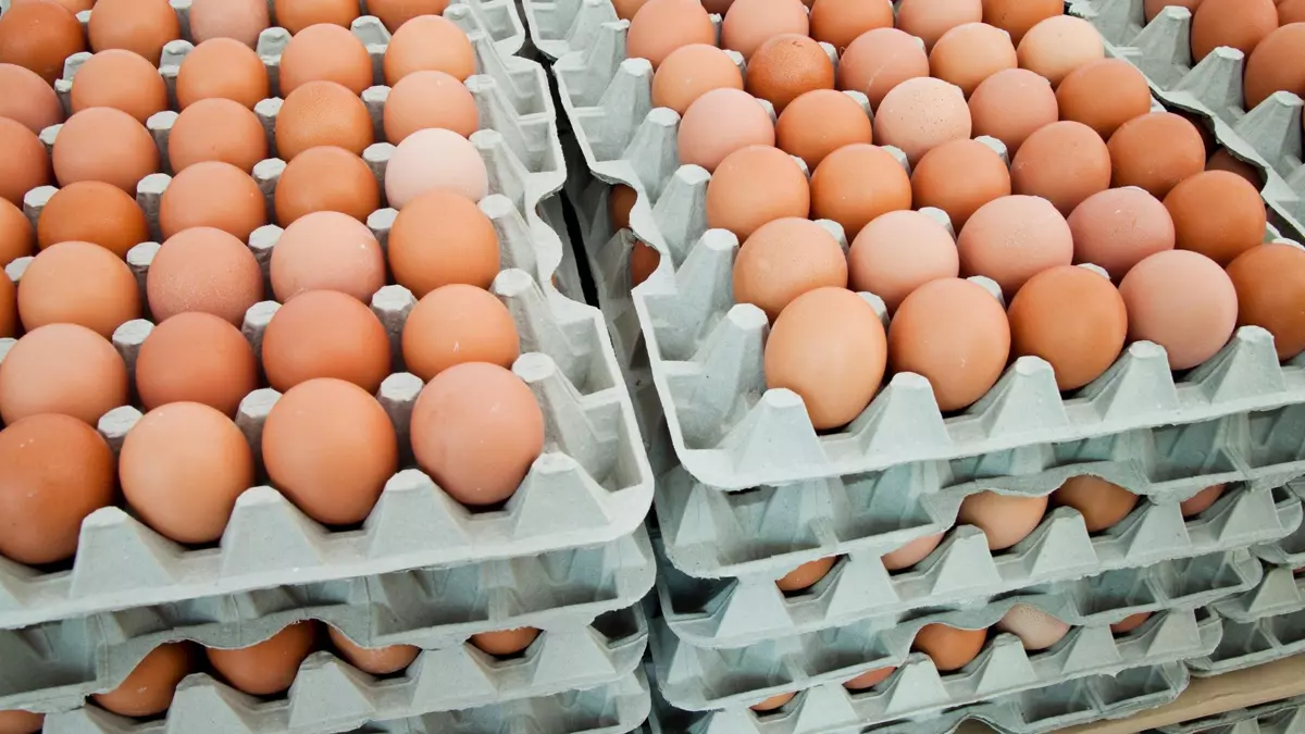 Ovos: Demanda cai, mas oferta controlada sustenta cotações
