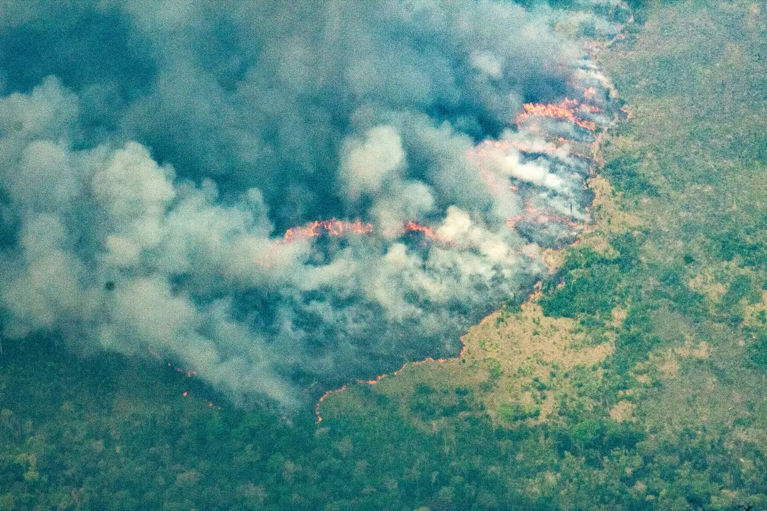 Amazônia bate recorde e tem o maior número de focos de incêndio da história, mostra Inpe