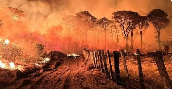 Queimadas aumentam 410% em fevereiro, segundo Ipam