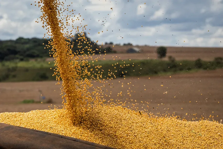 Colheita de soja vai a 48% da área no Brasil em boa semana para Matopiba e RS