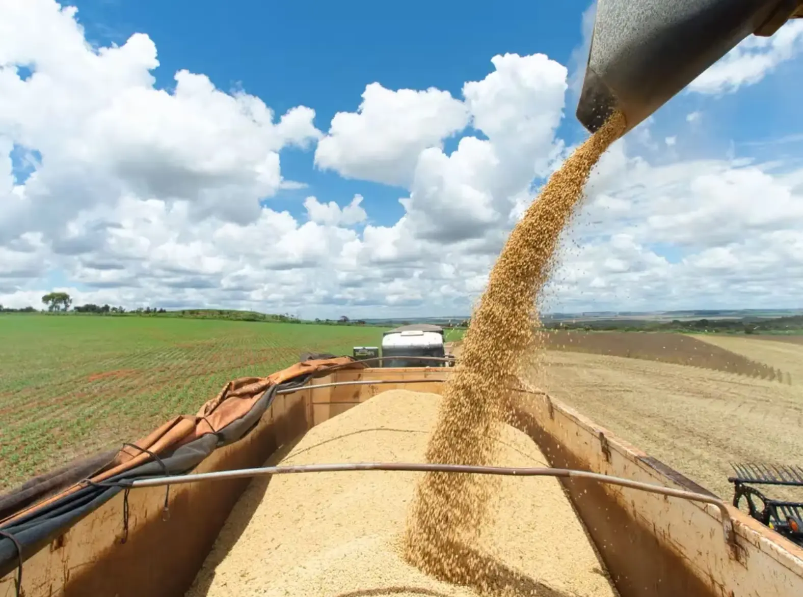 Falências no agronegócio ameaçam mercado de Fiagros que já soma R$ 34 bi