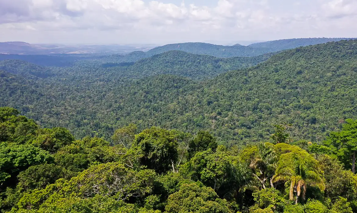 Iniciativa verde: Brasil e França investem na Amazônia
