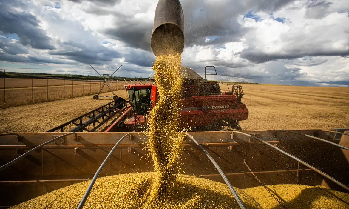 Agro do RS critica importação de arroz e considera medida desnecessária