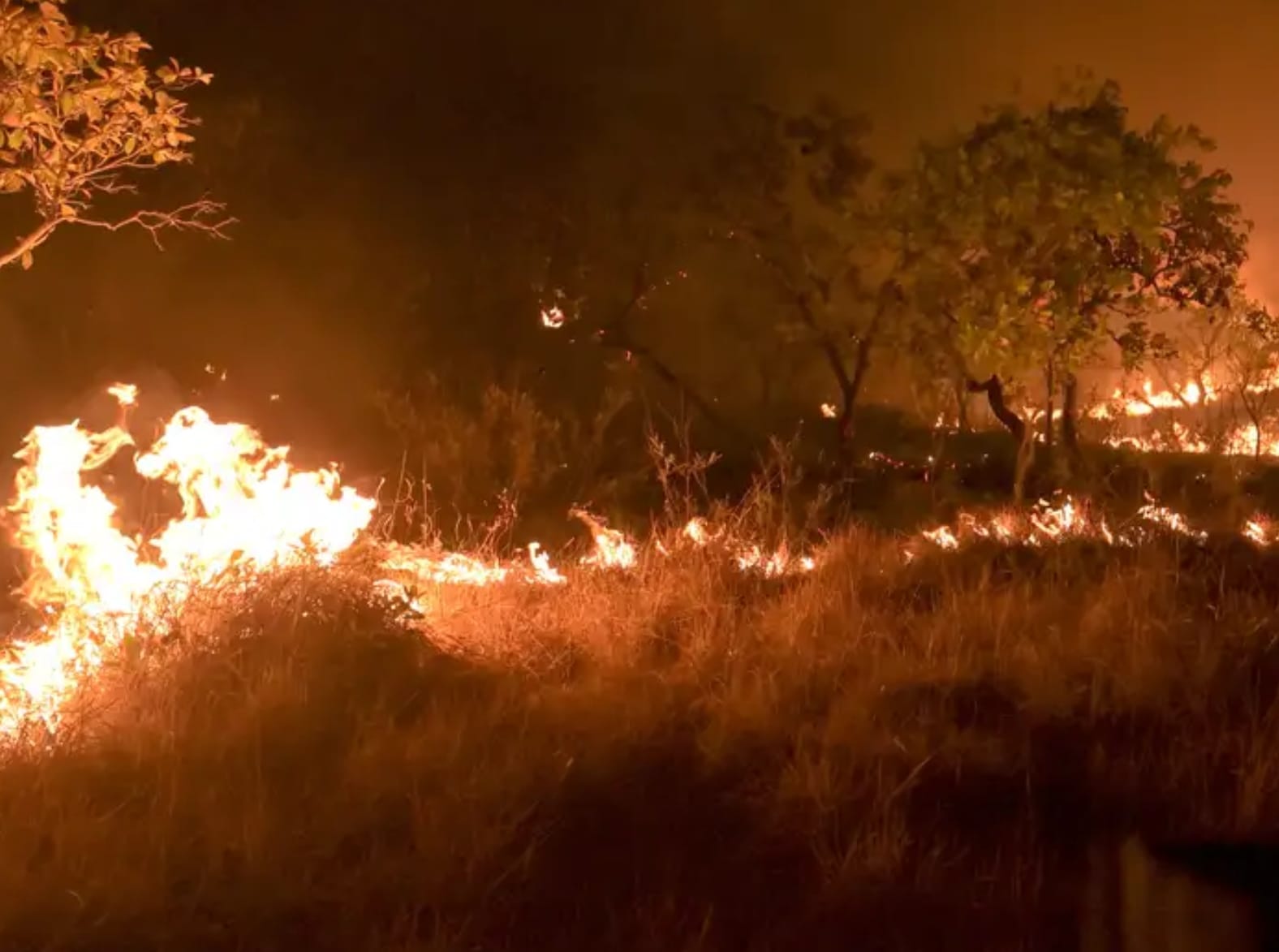 Com redução no combate, incêndios na Amazônia brasileira batem recorde no início em 2024