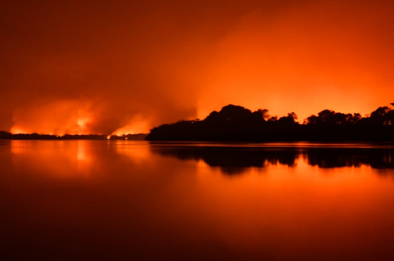 Queimadas no Pantanal aumentaram 898%, segundo ONG WWF-Brasil