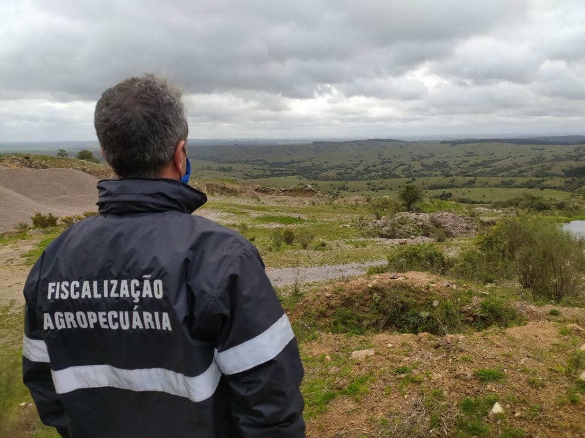 Afagro manifesta preocupação com a saída de fiscais agropecuários aprovados em outros concursos