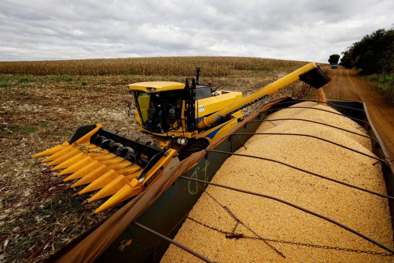 Imea indica que comercialização do milho avançou no Mato Grosso para safras passada, atual e futura