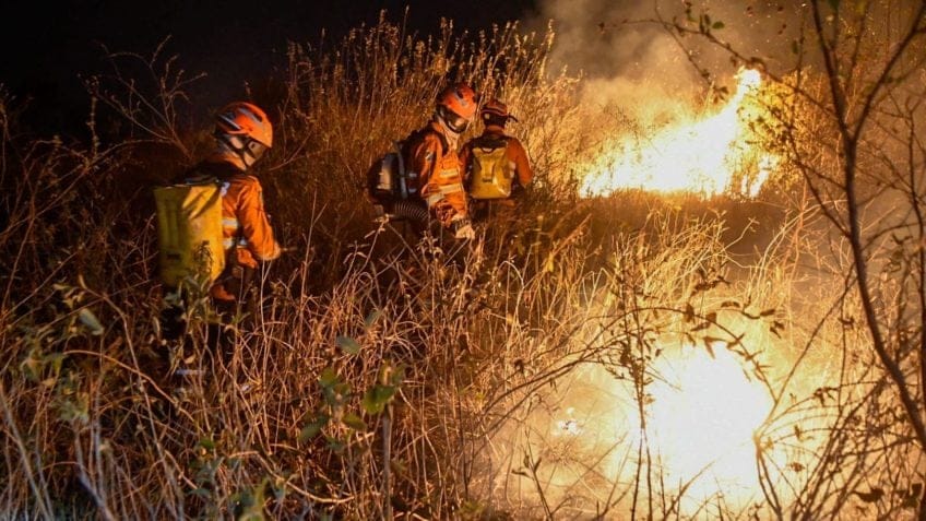 Junho termina com recorde histórico de incêndios no Pantanal