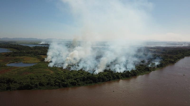 Pantanal enfrenta período mais seco em 4 décadas com previsão de crise hídrica em 2024, aponta estudo