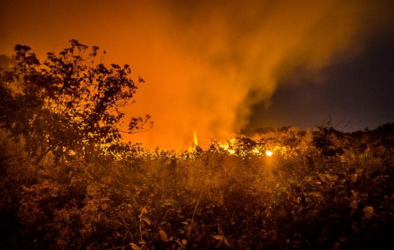 Queimadas no Pantanal aumentaram 2.362% somente em entre janeiro e junho de 2024