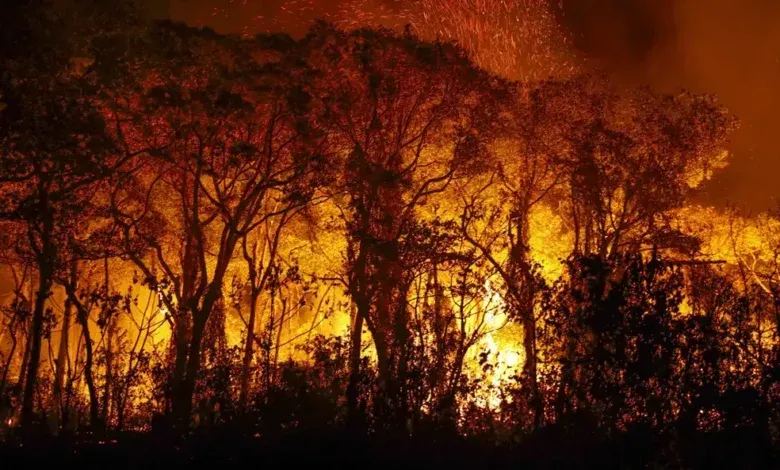 Amazonas registra recorde histórico de focos de incêndio em julho, segundo INPE