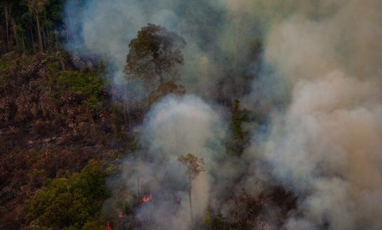 Incêndios na Amazônia e no Pantanal agravam crise ambiental e afetam qualidade do ar em dez estados Brasileiros