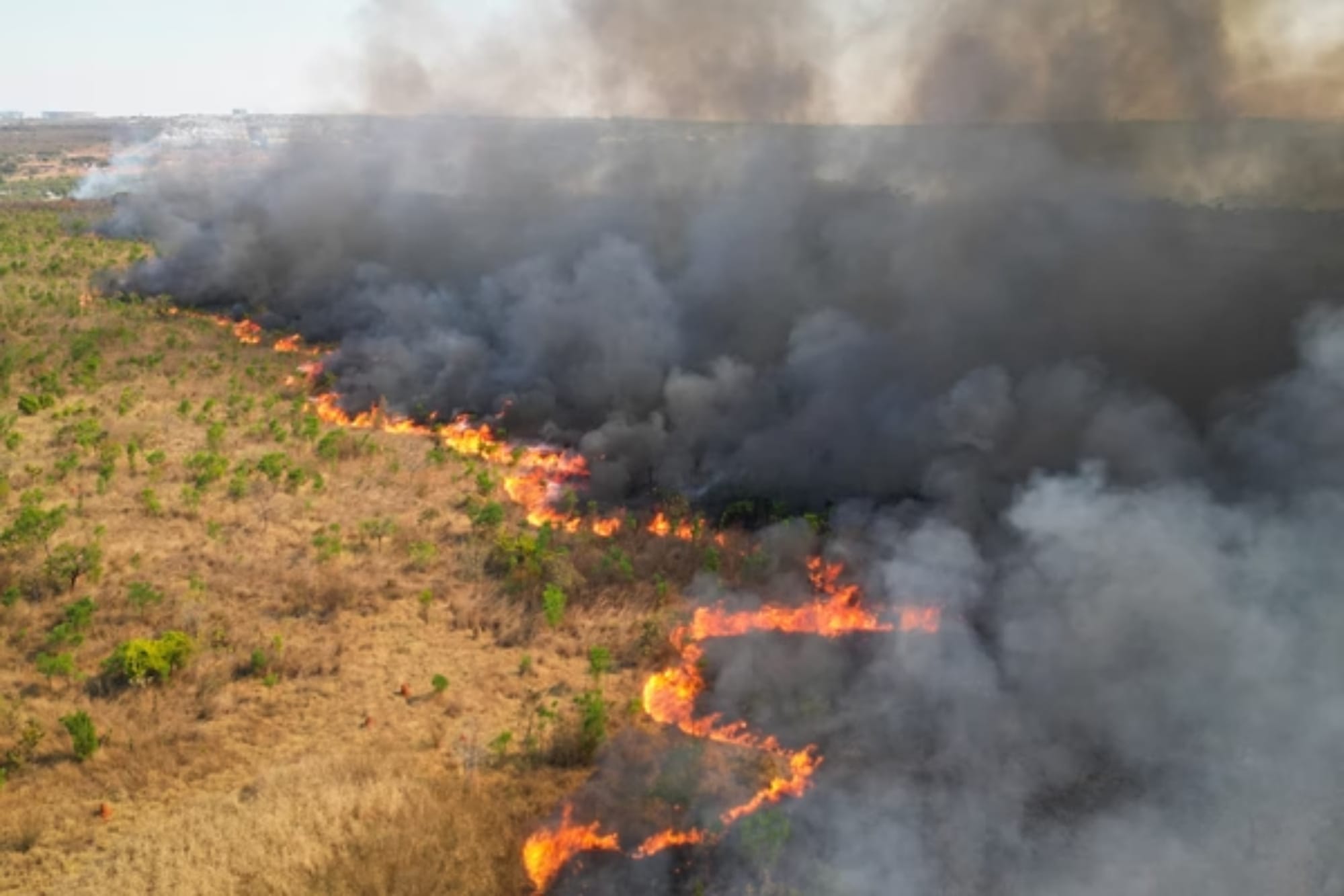 Incêndio na Parque Nacional de Brasília intensifica fumaça que cobre o DF