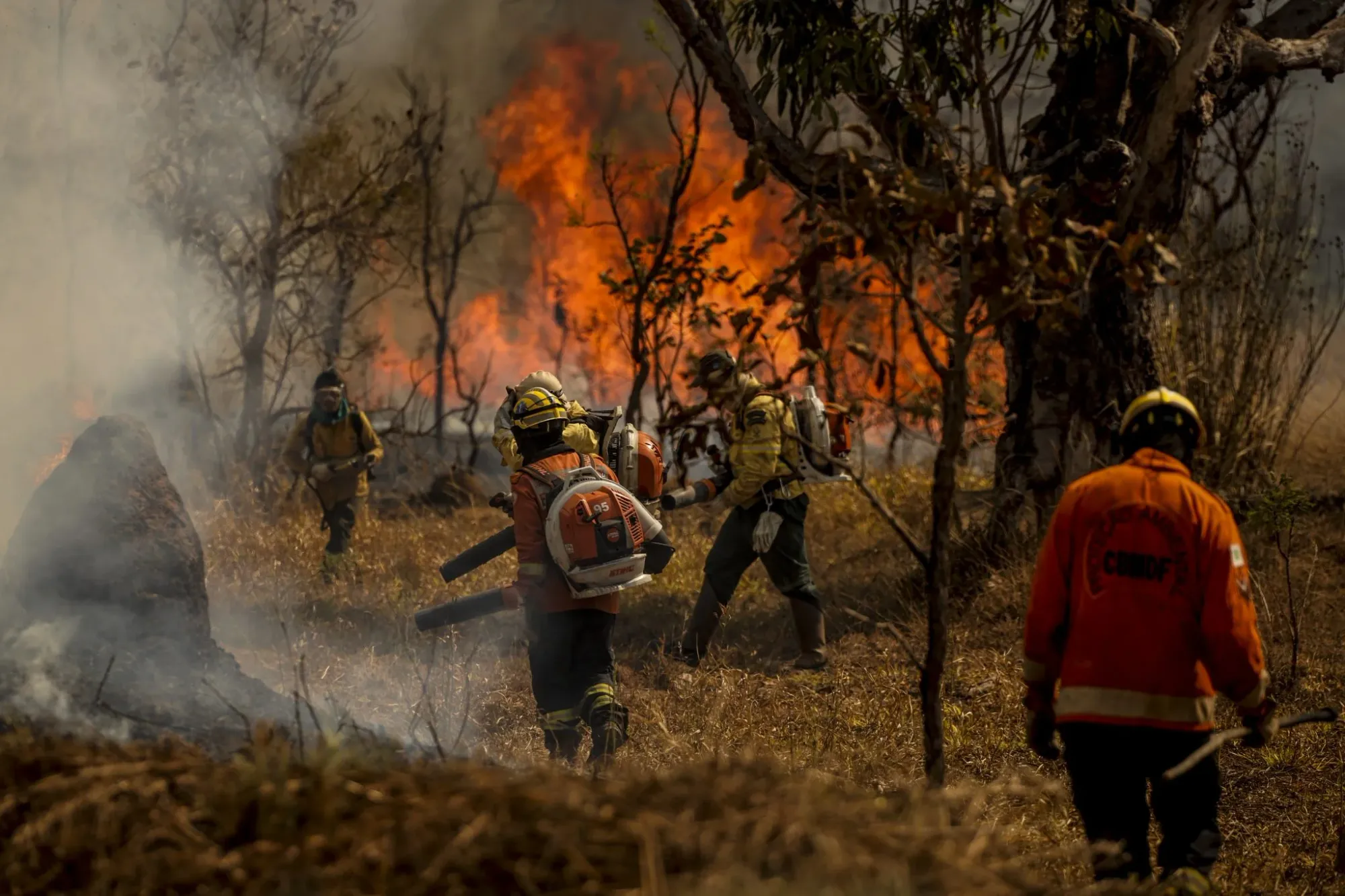 Cerrado: incêndios em agosto devastaram área 2 vezes maior que o Distrito Federal