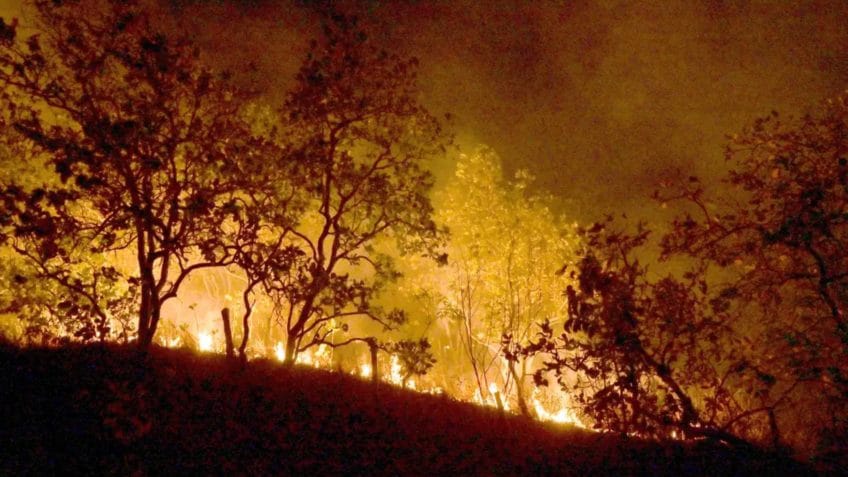 Brasil registra 2.329 focos de incêndio, sendo 60% na Amazônia