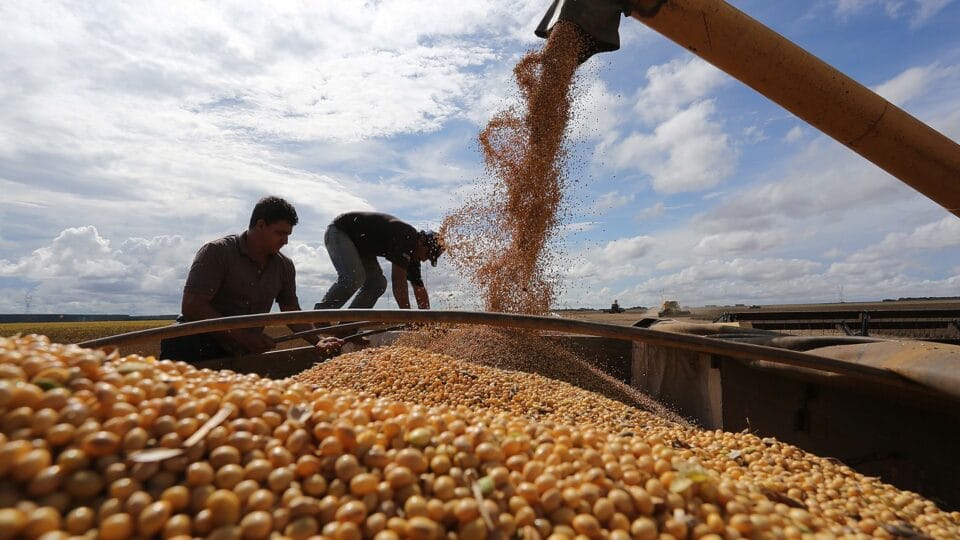 Europa acumula “ondas” de exigências fracassadas ao agro brasileiro