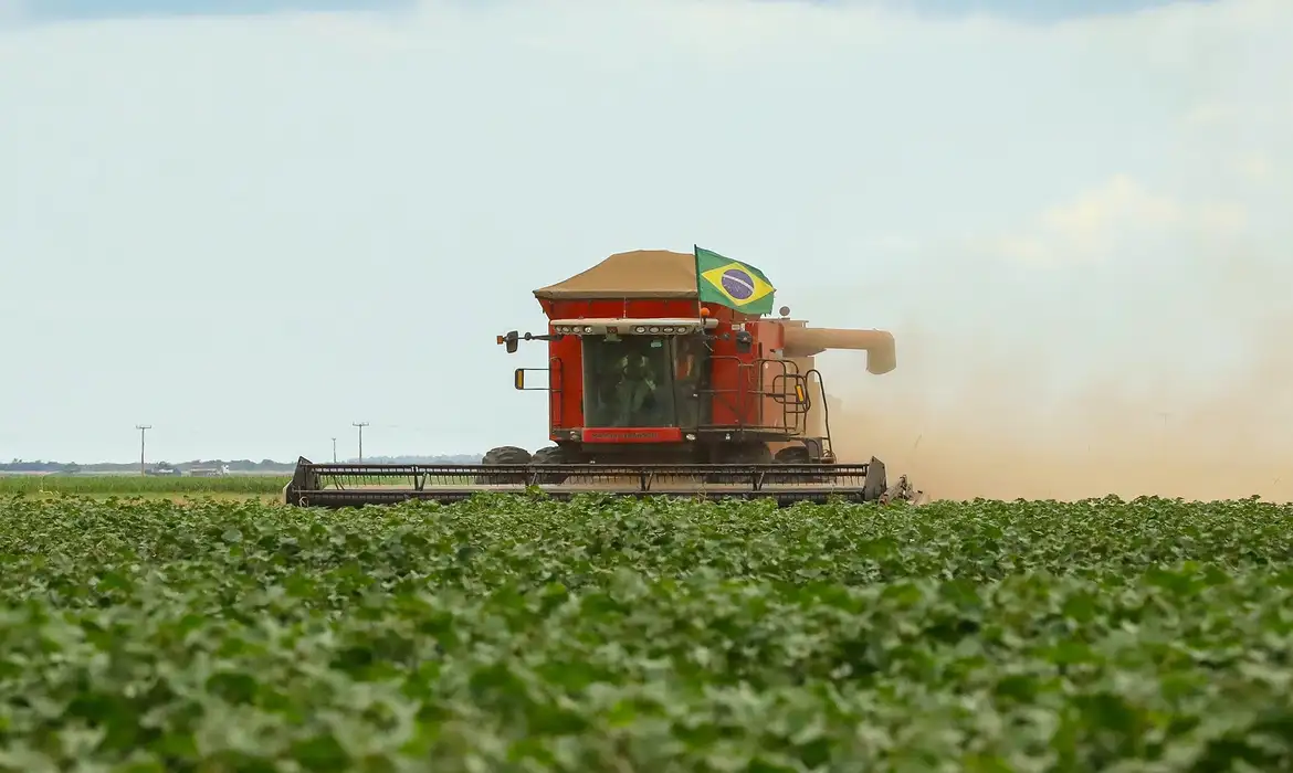 Mato Grosso: O gigante do Agro brasileiro