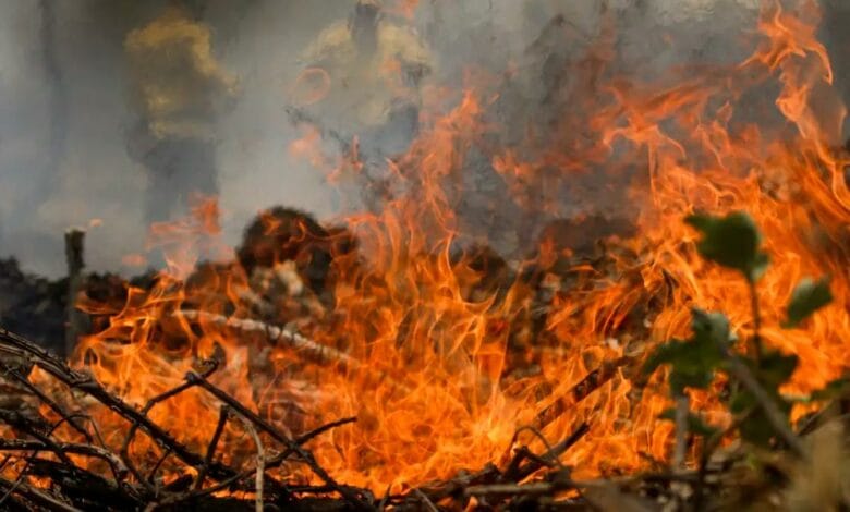 Brasil registra mais de 1400 focos de incêndio em um dia, segundo Inpe