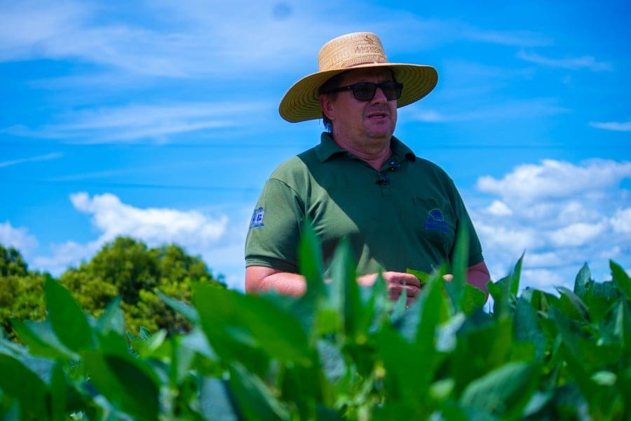 Aprosoja MT: Produtores relatam preocupação com a colheita de soja na região Leste de Mato Grosso