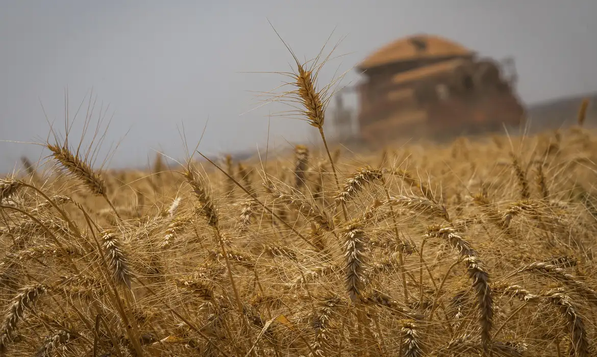 Paraná lança inovador Plano Safra estadual para impulsionar o Agronegócio