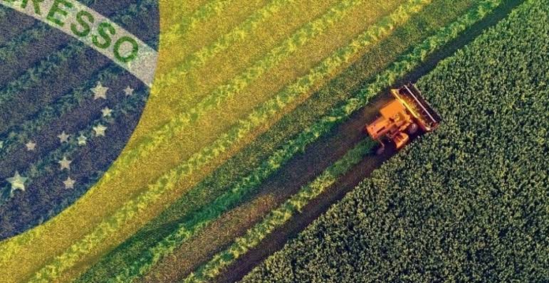 O agro brasileiro: Resistência contra narrativas distorcidas e hipocrisia ambiental