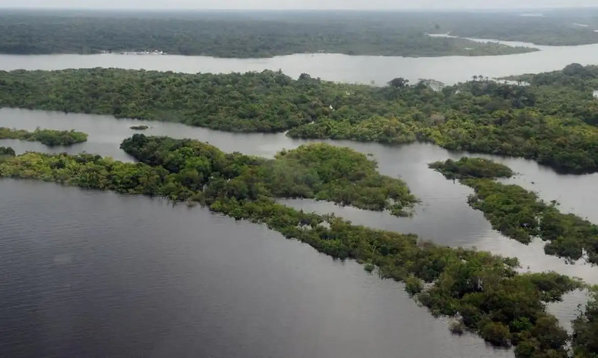 A Amazônia sob ameaça: A expansão do crime organizado