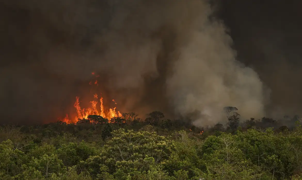 Queimadas em 2024 batem recorde e expõem falhas do governo federal