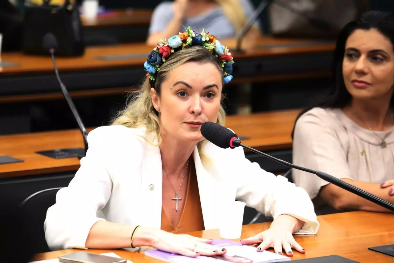 Deputada Júlia Zanatta propõe punição para falsas denúncias de violência doméstica