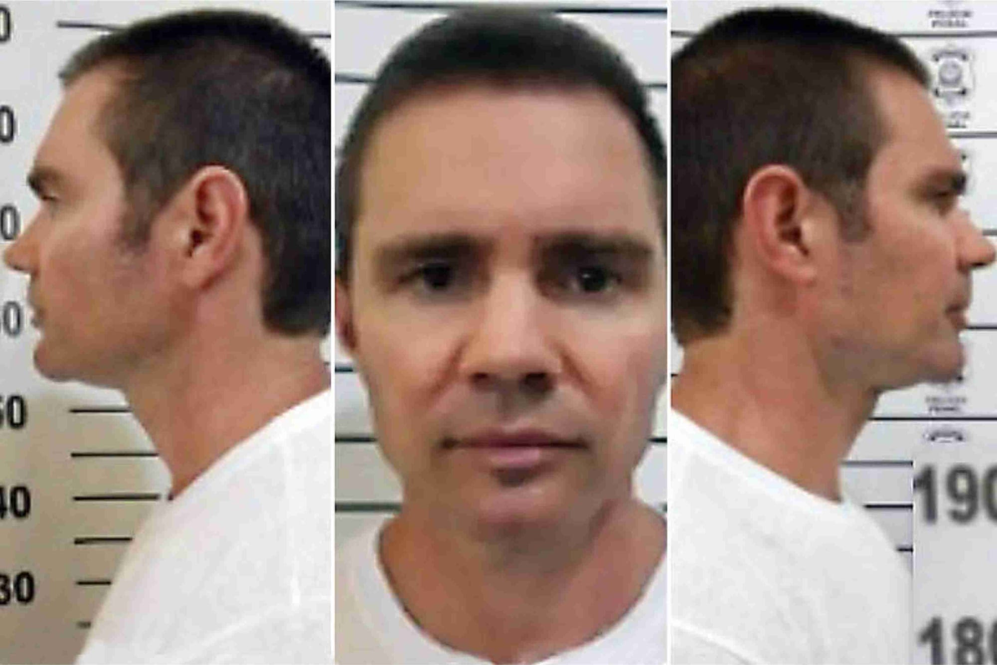 Malu Gaspar revela corrida de Vorcaro para fechar delação e evitar perda bilionária