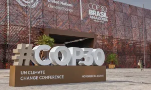 ONG ligada à COP30 agora fatura no Ministério da Cultura com relatório sobre a Lei Rouanet