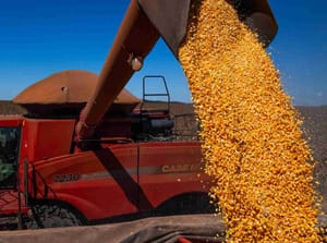 Refis do Agro gera embate sobre impacto fiscal e apoio ao setor rural