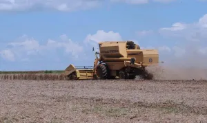 Entidades do agro contestam discurso de recorde no Plano Safra